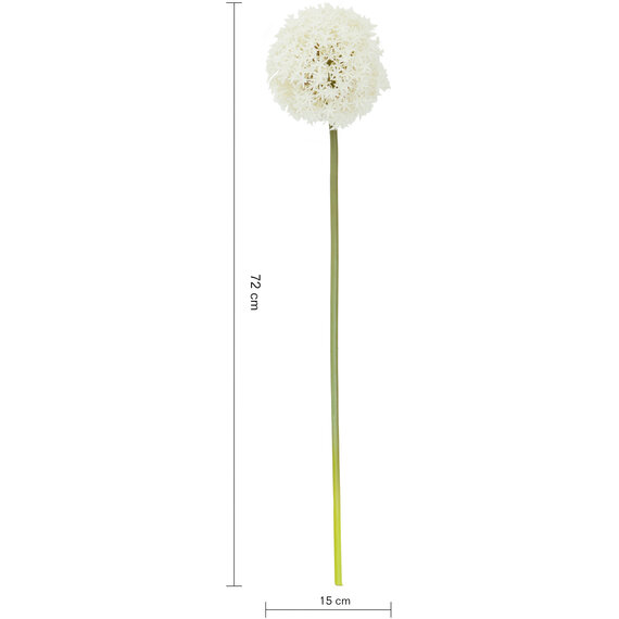 Fiori Ivory Allium Flower Stem
