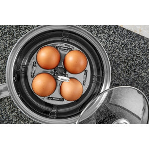 Bygone Egg Lifter