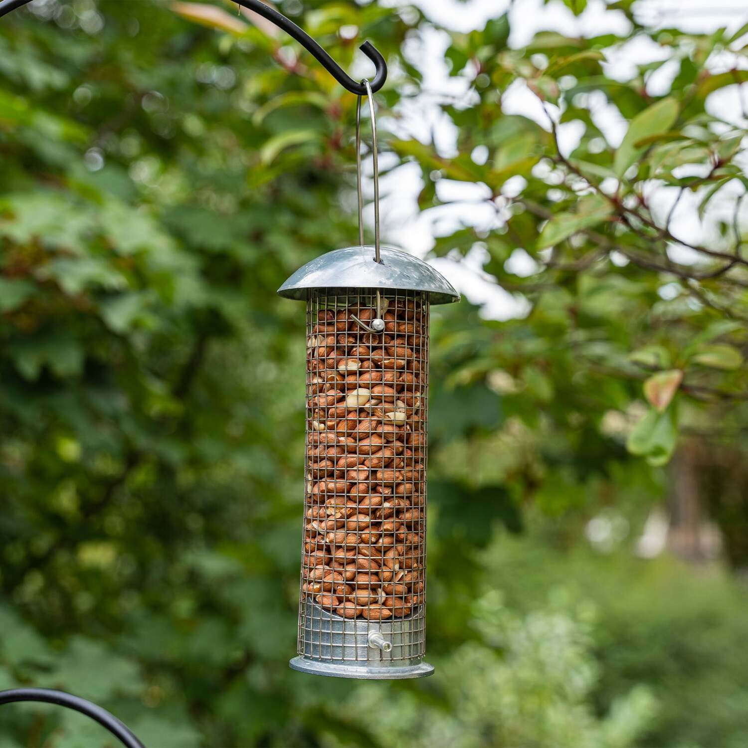 Image of Gardman Heavy Duty Peanut Feeder -&hellip;