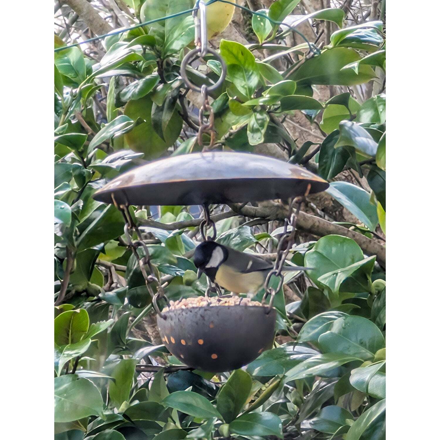  - Savageworksuk Rustic Chain Hanging Bird Feeder With Weathered Iron FinishMultiple Perches20Cm Lid10Cm Base - Image 3