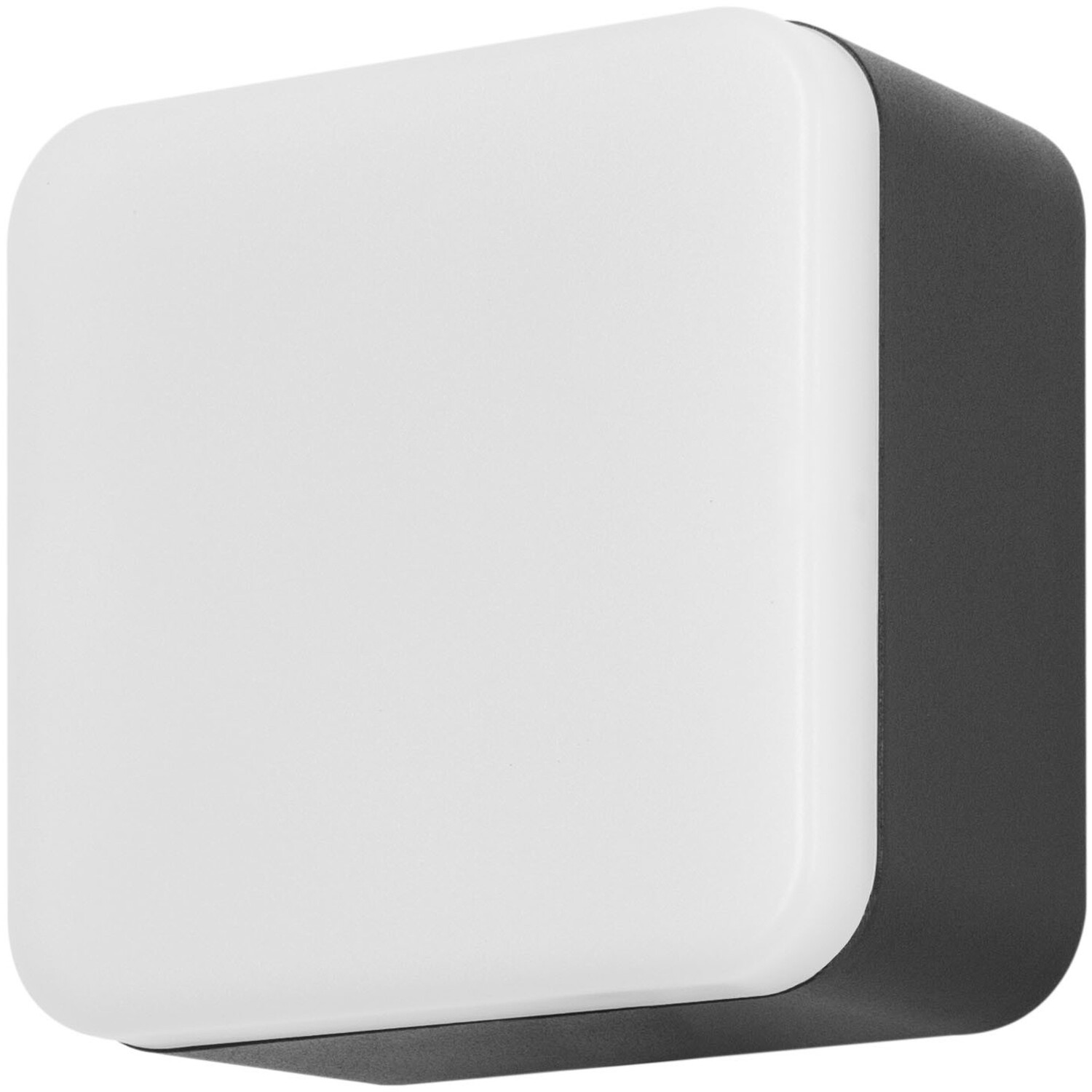 Forlight Lighting Tilt Wall Light Grey - Grey