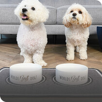 Puppy Bowls & Accessories