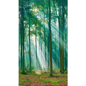 Photographic Sunlit Trees Repeatable Mural Wallpaper
