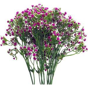 Bunch of Gypsophila Artificial Flowers Stems