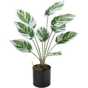 Faux Calathea White Fusion Plant