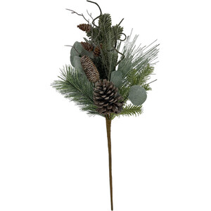 Twiggy Eucalyptus Pick