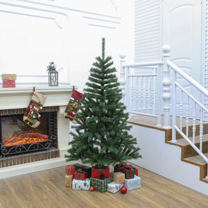 Norway Fir Tree