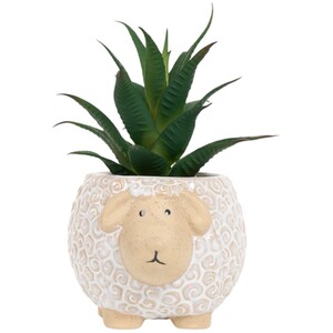 Succulent in Sheep Pot