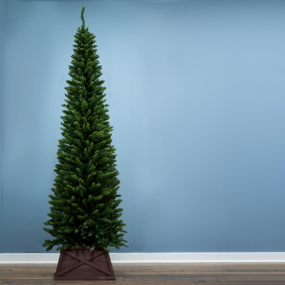 The Italian Pencilimo Tree with Hinged Branches