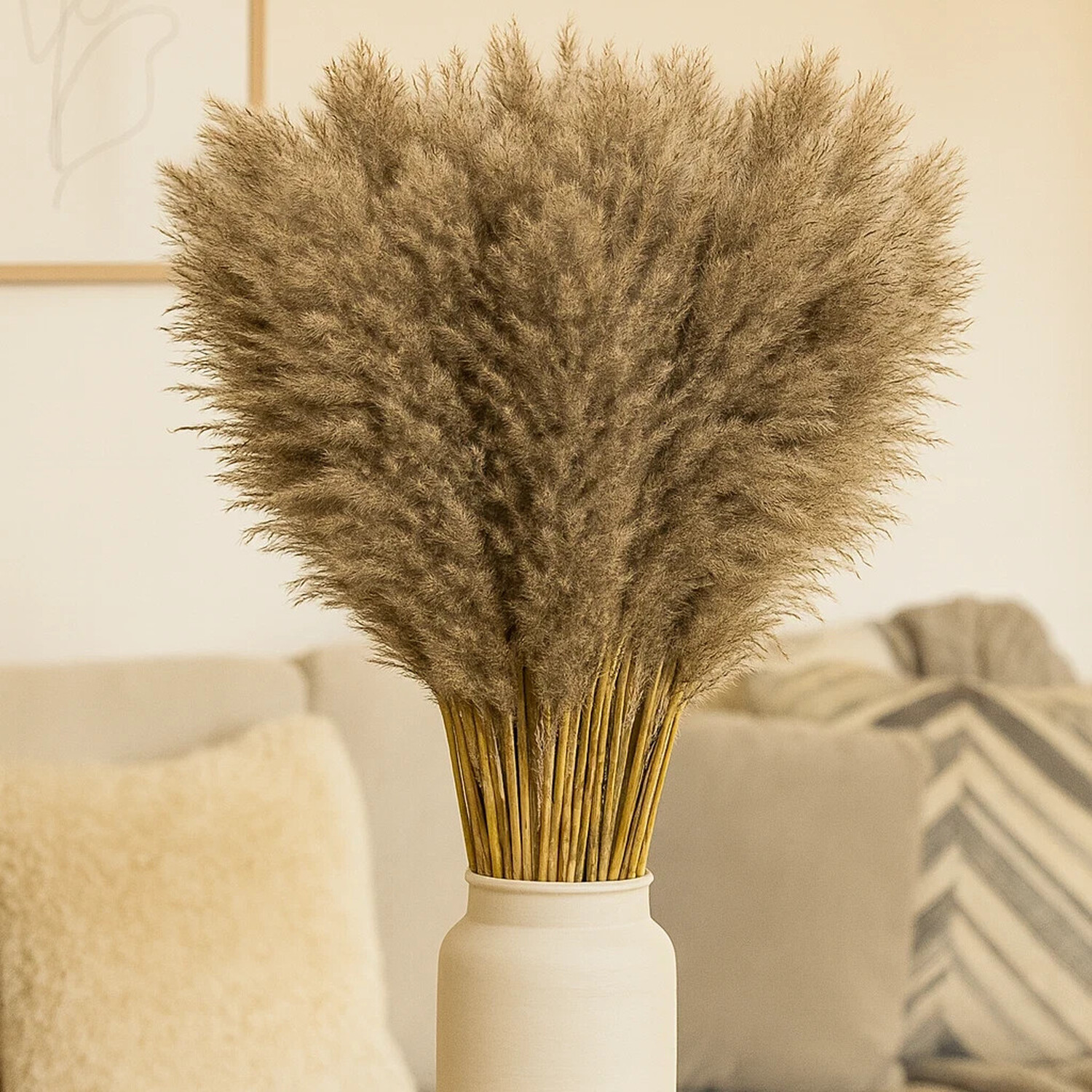 Large Pampas Grass Reeds