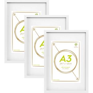 Photo Frames with White A4 Mount - A3 (12