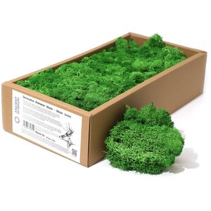Decorative Reindeer Moss Moss Green
