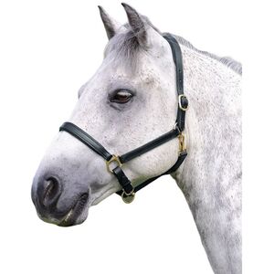 Blenheim Ragley Leather Horse Headcollar