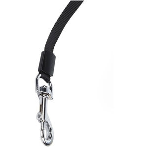 Regatta Extendng Dog Lead