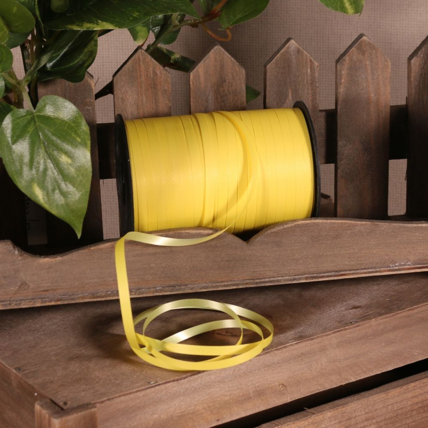 Kdmd Unisex Yellow Matt Light Curling Ribbon 4 Pack - Image 2