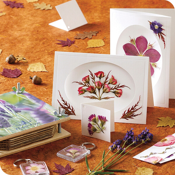 craft kits