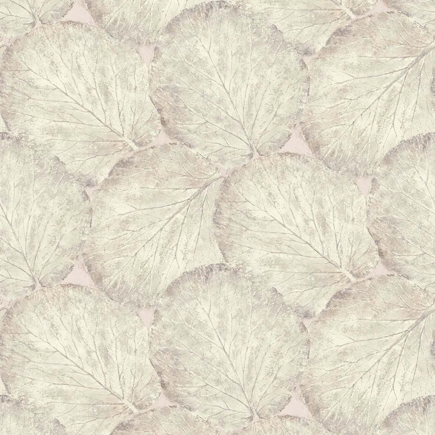 Sample of Beech Leaf Wallpaper in Blush