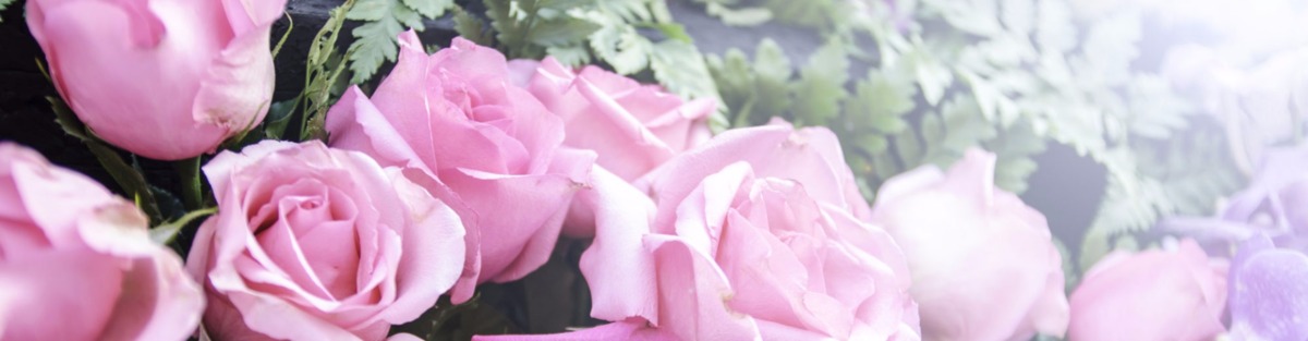 Pink Roses Flower Display