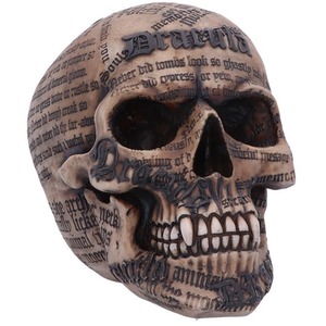 Dracula's Tale Vampire Novel Quote Skull