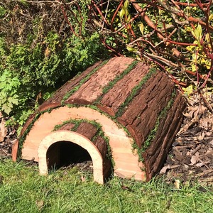 Natural Hedgehog House