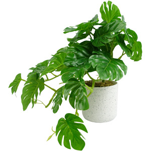 Artificial Green Potted Monstera Trailing Plant