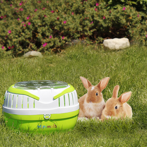 Small Animal Carrier