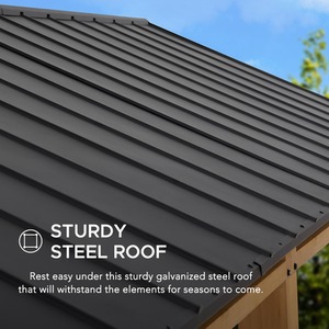  shot 10823509