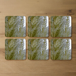 Autumn pampas grass close up Designer Coaster Set