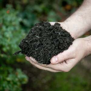 Westland The Gardeners Multi-Purpose Compost, 70% Peat, Enriched 4-5 Weeks Feed