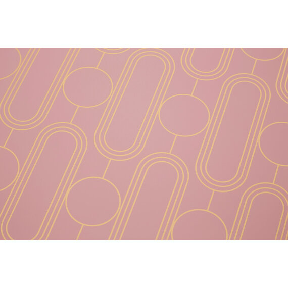 Frosted Deco Set of 4 Pink Placemats