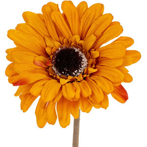 Hill Interiors Soft Gerbera Gerbera Artificial Flower