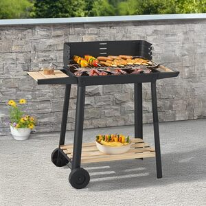 Charcoal BBQ Trolley