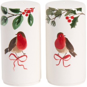 Festive Robin Salt and Pepper Set