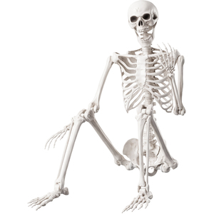 Halloween Skeleton,165cm Life Size Skeleton,Poseable ABS Resin White
