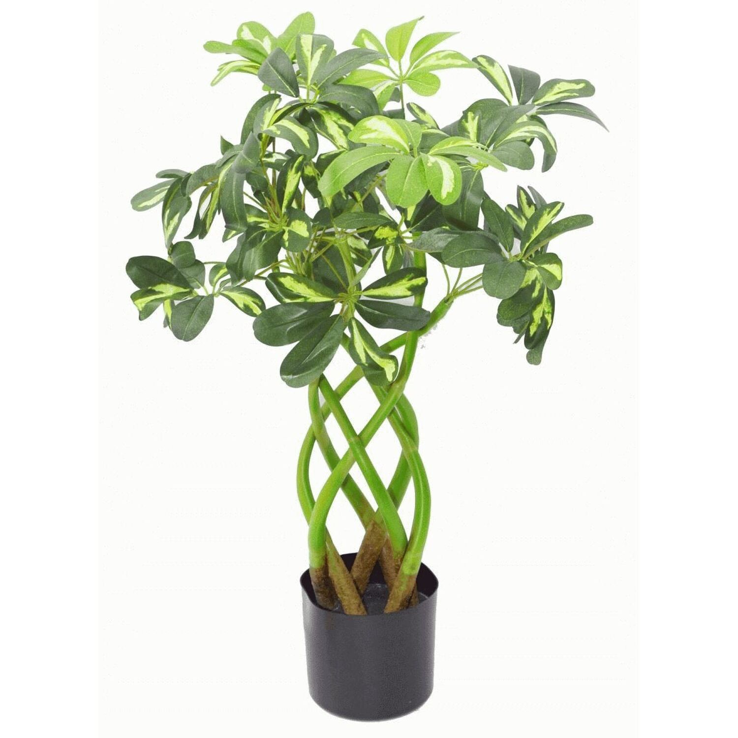 Artificial Twisted Stem Modern Arboricola Artificial Plant Bonsai Bush - Green