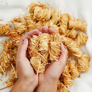  shot 2932023