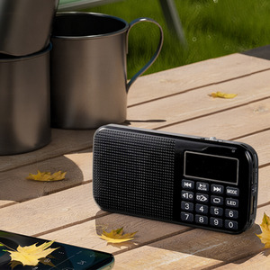 Portable Radio Speaker with AUX and Headphone Jack