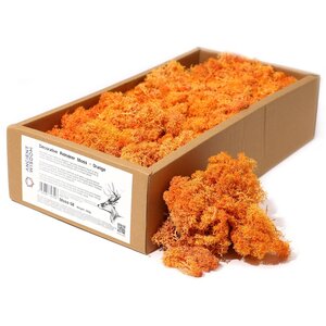 Orange Reindeer Moss Decorative Craft Material