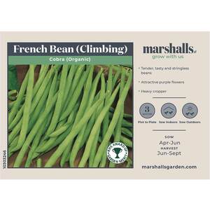 Marshalls Garden Organic Climbing French Bean Cobra Seeds - Pack of 25 - RHS Award of Garden Merit