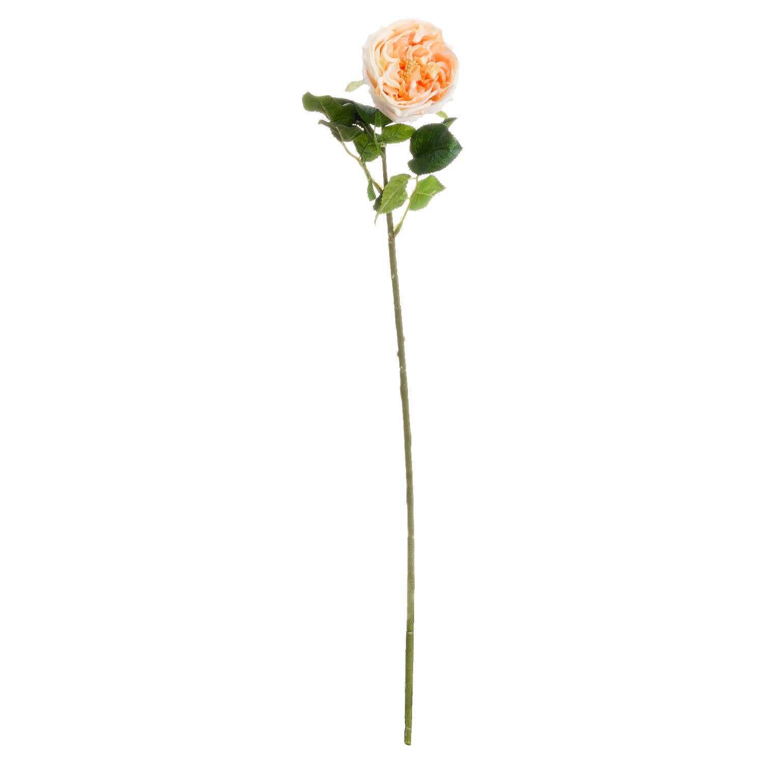 Set of 3 Artificial Butter Portland Rose Stems - Pink