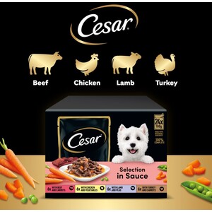 96 x 100g Cesar Luxury Adult Wet Dog Food Pouches Mixed Favourites In Sauce