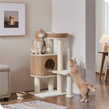 Cat post