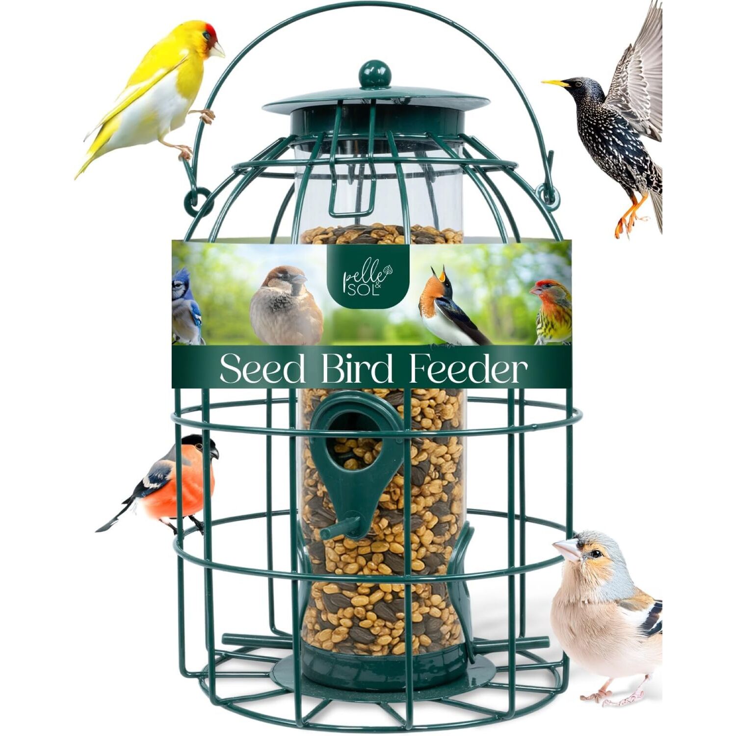 Pelle & Sol Caged Bird Feeder With Squirrel Proof Metal Cage For Garden Birds - Green