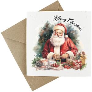 Traditional Father Christmas - Plantable Wildflower Seed Christmas Cards - 5 Pack