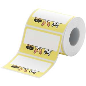 B Range 50x31mm Printed Thermal Label Roll