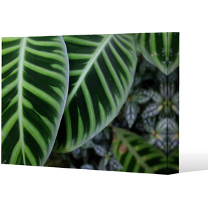 yellow structure in exotic jungle setting Canvas Print