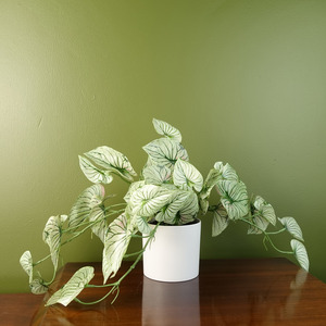 Leaf Artificial Trailing Plant Realistic Variegated Potted Alocasia