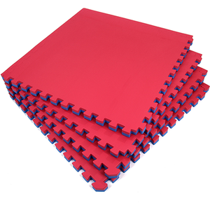Martial Arts Floor Mats 40mm Gym