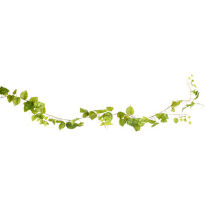 Pothos Garland