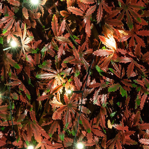 Artificial Extendable Trellis Red Acer Hedge Screening with LEDs